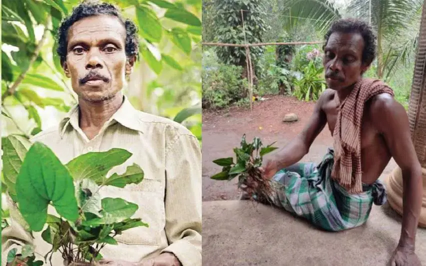 Kuttimathan Kani