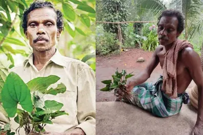 Tribal elder Kuttimathan Kani, who brought ‘Arogyapacha’ to global light, dies at 72