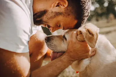 Do you have a dog? Here’s what you MUST do as a responsible pet parent in India