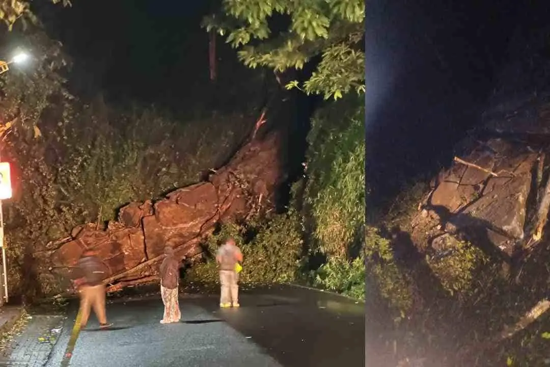 Debris from a landslide covers the Thamarassery Ghat road | Mathrubhumi