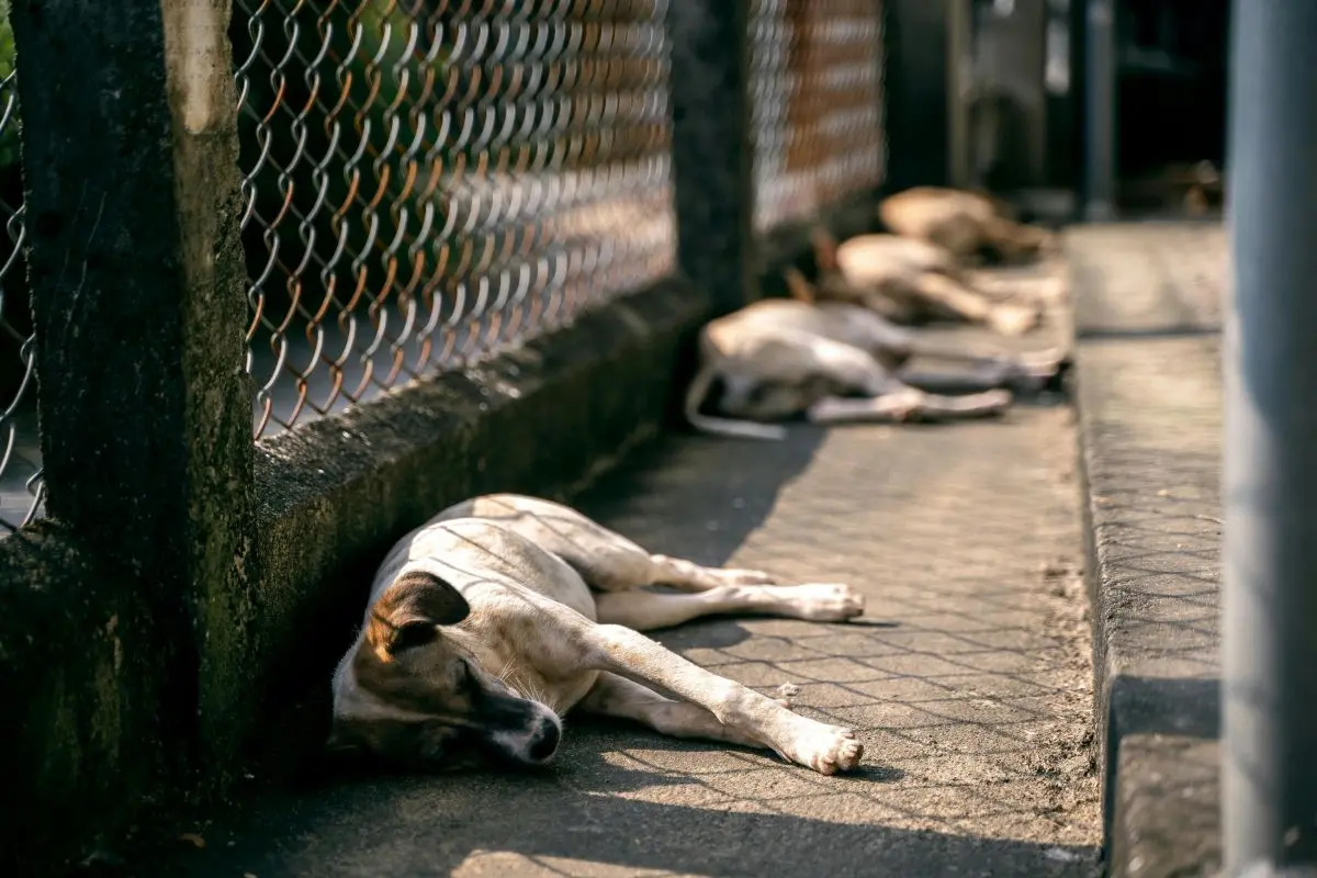 Representational image