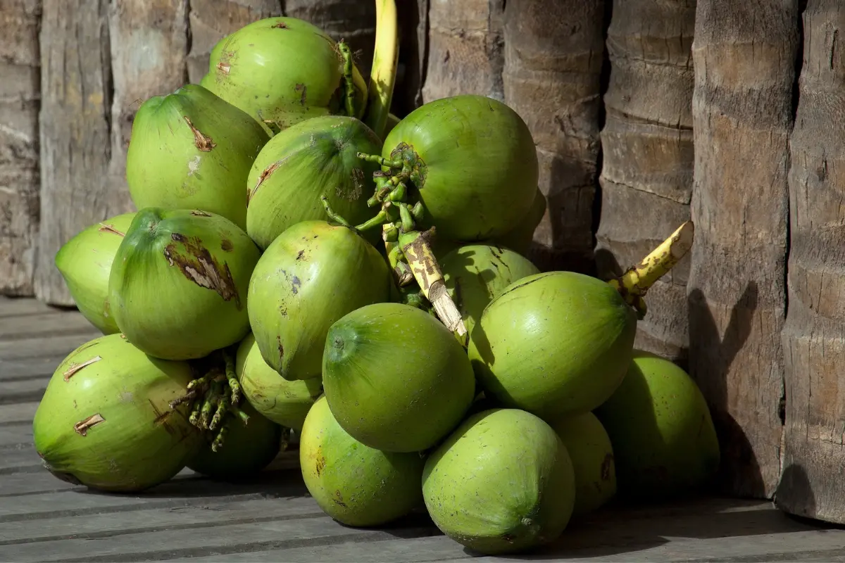 Representational image | Photo: Canva