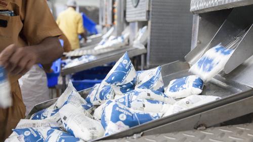 Milma sets all-time record; sells 38 lakh liters of milk on Uthradam day alone