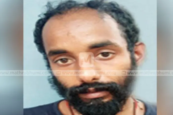 തുഷാരഗിരിയില് വന് ലഹരിമരുന്ന് വേട്ട; വലയിലായത് 'സ്നേക്ക് മാന്'