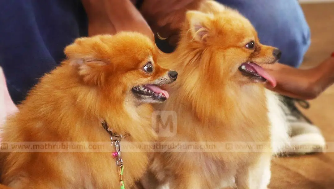 Photo: Mathrubhumi Archives