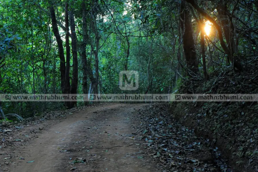 കിളിച്ചിലപ്പുകള് കേട്ടും ചീങ്കണ്ണിപുഴ കണ്ടും മീന്മുട്ടിയില് നനഞ്ഞും ശലഭയാത്ര കണ്ടും ഒരു സഞ്ചാരം