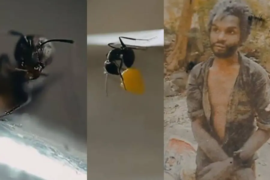 മധു.. മധുരം.. ഉറുമ്പ് കഥാപാത്രമാകുന്ന ഹ്രസ്വചിത്രം ശ്രദ്ധേയമാകുന്നു