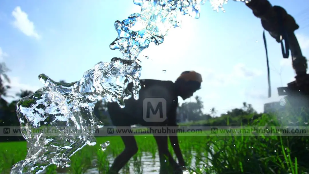 Photo: Mathrubhumi Archives | ratheesh pp