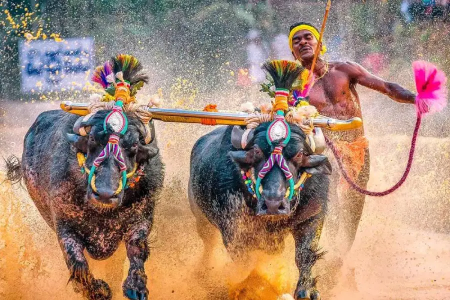 സായി ട്രയല്സില് പങ്കെടുക്കാതെ കമ്പളപ്പാടത്തെ 'ബോള്ട്ട്'; കാരണം പരിക്കോ?
