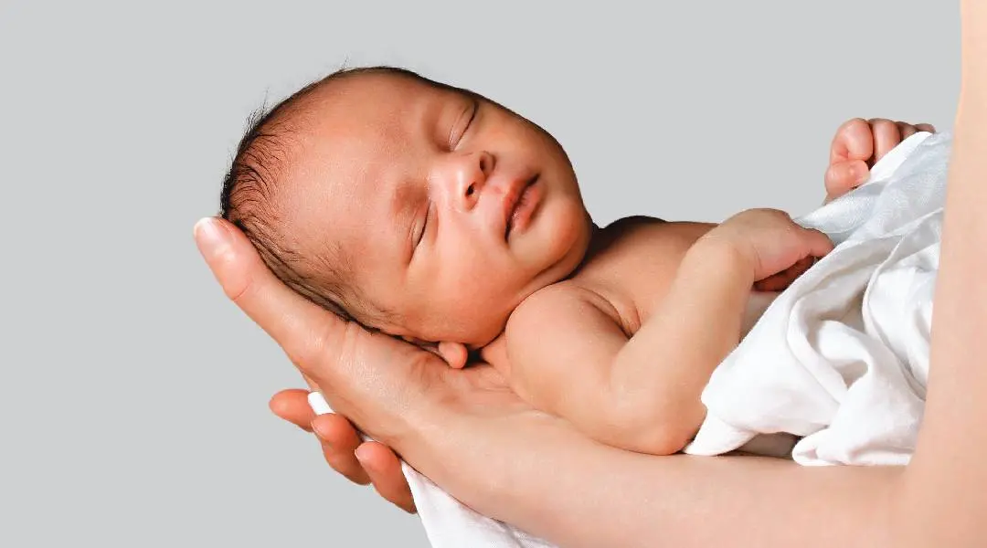 Photo: Shutterstock