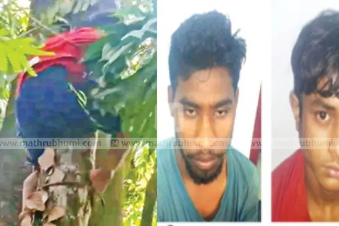 മോഷ്ടിച്ച പണം പങ്കുവെക്കുന്നതില് തര്ക്കം; മരത്തിന് മുകളിലൊളിച്ച കള്ളനെ നാട്ടുകാര് പിടികൂടി