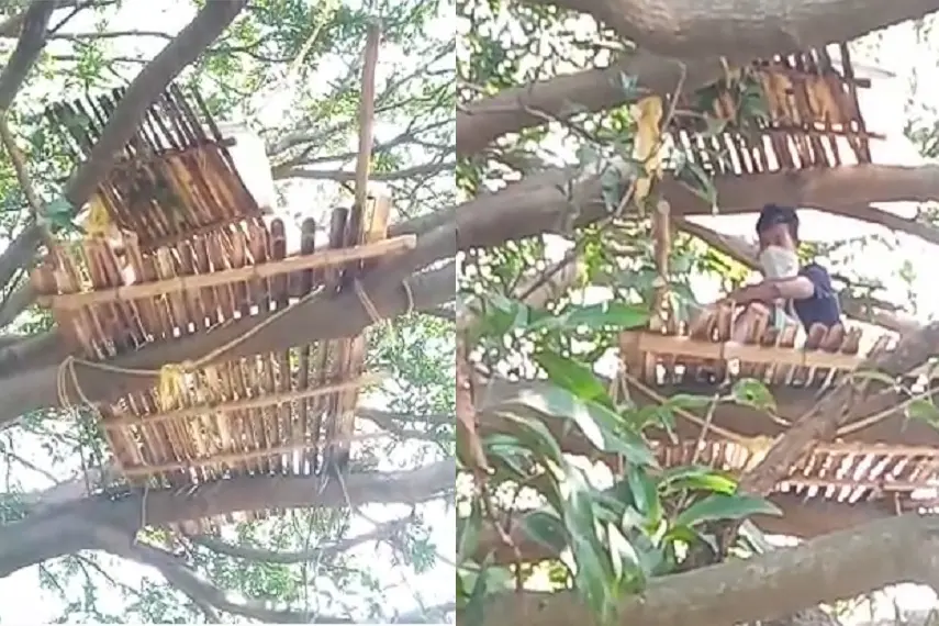 വീട്ടിൽ സൗകര്യങ്ങളില്ല, മരത്തിന് മുകളില് ഇവര് ക്വാറന്റൈനിലാണ്