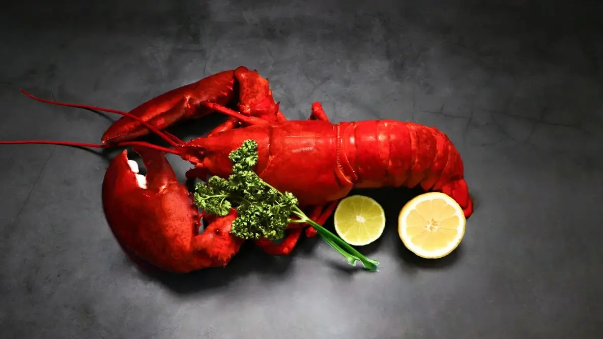 representative image/Photo: canva