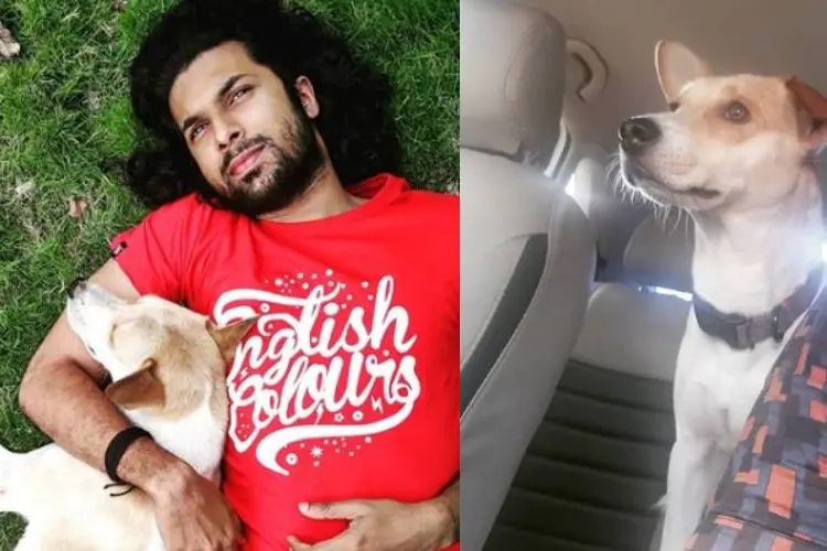 രണ്ടാം ജന്മദിനത്തിന്റെ അന്ന് അവൻ വീട്ടിലെത്തി ; വളർത്തു നായയെ കണ്ടെത്തിയ സന്തോഷം പങ്കുവച്ച് അക്ഷയ്