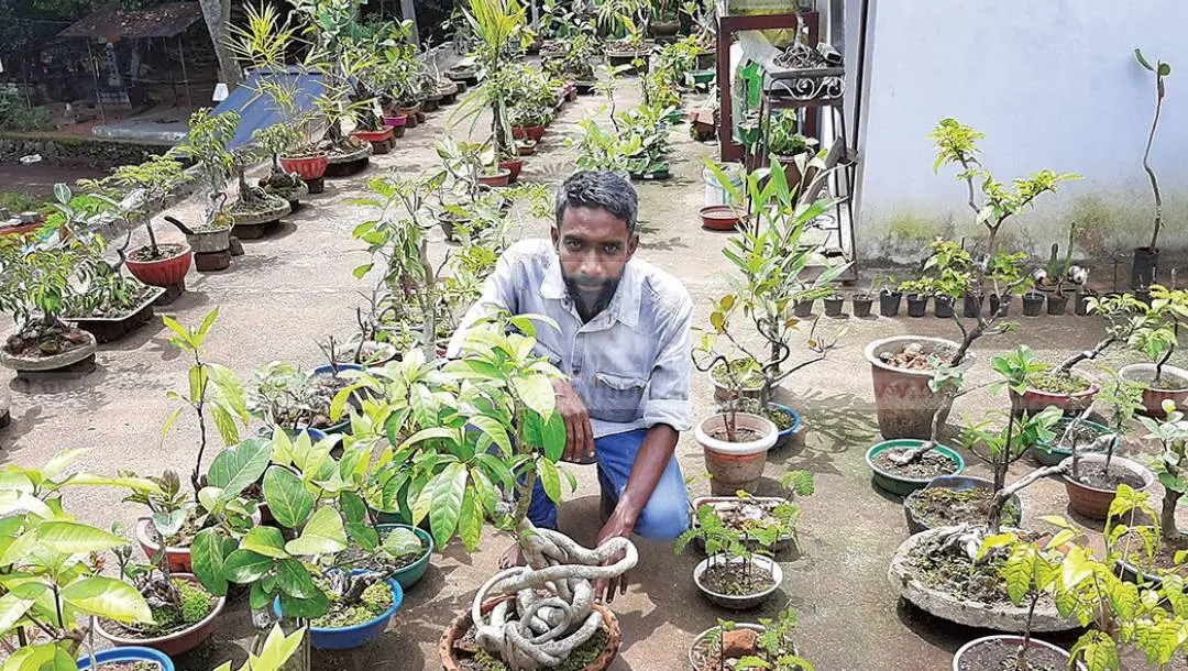 നിവീന്‍ വീടിനു മുകളിലെ ബോണ്‍സായി മരങ്ങള്‍ക്കൊപ്പം