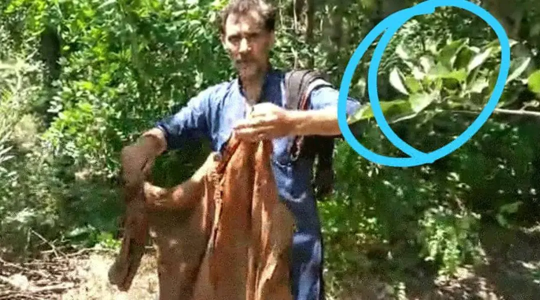 -