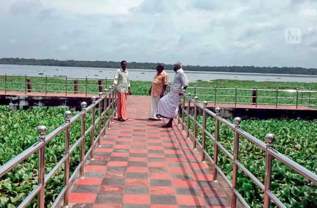 പന്മന വട്ടക്കയാലിന്റെ സൗന്ദര്യം ആസ്വദിക്കുന്നവർ