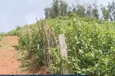 നിയമങ്ങള്‍ അട്ടിമറിച്ച് ഏലപ്പാറയിലെ തോട്ടംഭൂമിയില്‍ അനധികൃത നിര്‍മാണങ്ങള്‍