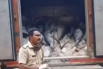 അതിര്ത്തി കടന്ന് വീണ്ടും പഴകിയ മത്സ്യം എത്തുന്നു; കൊല്ലത്ത് പിടികൂടി നശിപ്പിച്ചത് 4000 കിലോ