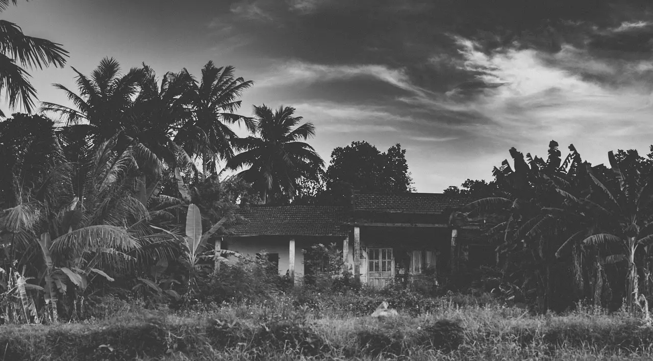 പ്രതീകാത്മക ചിത്രം. pixabay.com