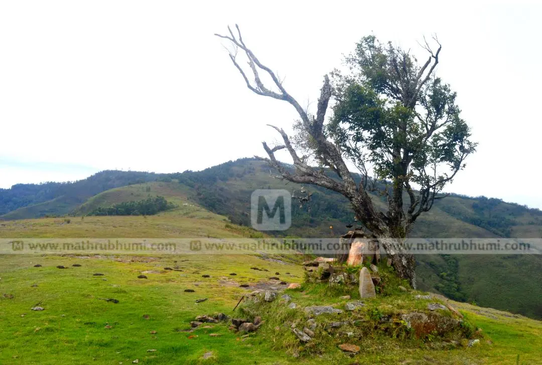 തമ്പുരാൻ കോവിൽ