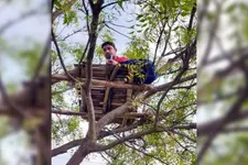 ചരിത്രം പഠിപ്പിക്കേണ്ടത് ഓണ്‍ലൈനിലൂടെ, റേഞ്ച് കിട്ടാന്‍ അധ്യാപകന്‍ മരത്തിനു മുകളില്‍
