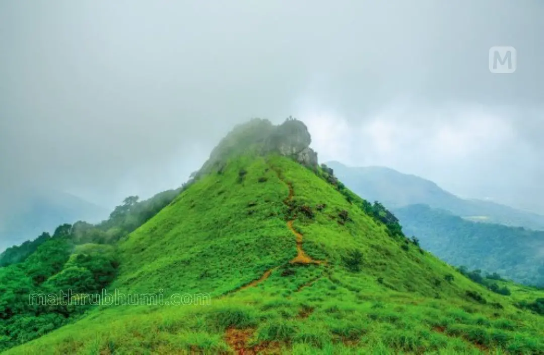 റാണിപുരം മലനിരകള് | ഫോട്ടോ: പുഷ്പജന് തളിപ്പറമ്പ് മാതൃഭൂമി