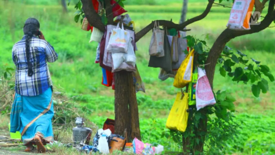 പ്രതീകാത്മക ചിത്രം| ഫോട്ടോ: രതീഷ് പി.പി. |മാതൃഭൂമി
