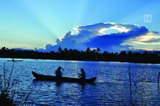 വിദേശികള്‍ക്ക് കായലിലൂടെ പോകണം, വില്ലനായി ഊന്നിക്കുറ്റികള്‍; കാക്കത്തുരുത്ത് പ്രതിസന്ധിയില്‍