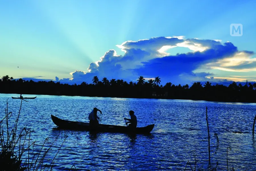 വിദേശികള്ക്ക് കായലിലൂടെ പോകണം, വില്ലനായി ഊന്നിക്കുറ്റികള്; കാക്കത്തുരുത്ത് പ്രതിസന്ധിയില്