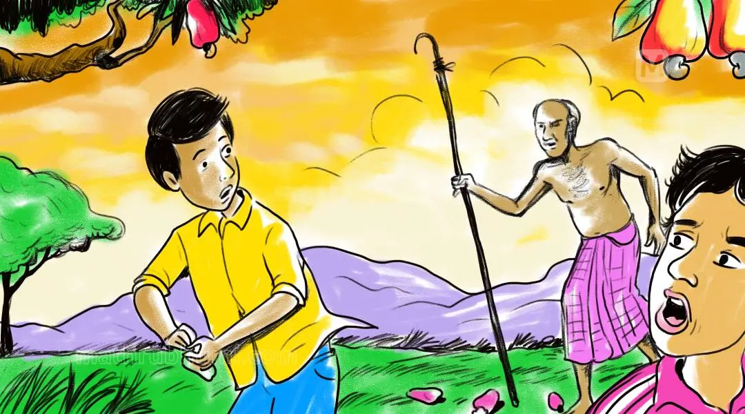 ചിത്രീകരണം: ബാലു