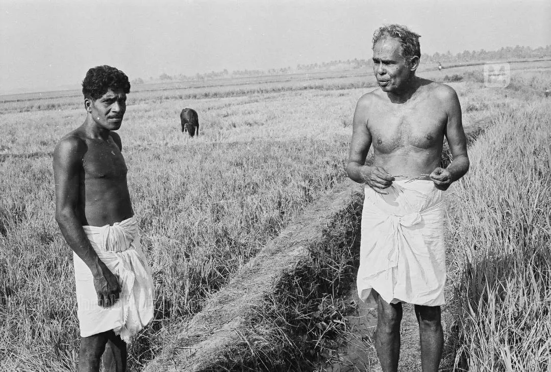 തകഴി| ഫോട്ടോ: പുനലൂര്‍ രാജന്‍