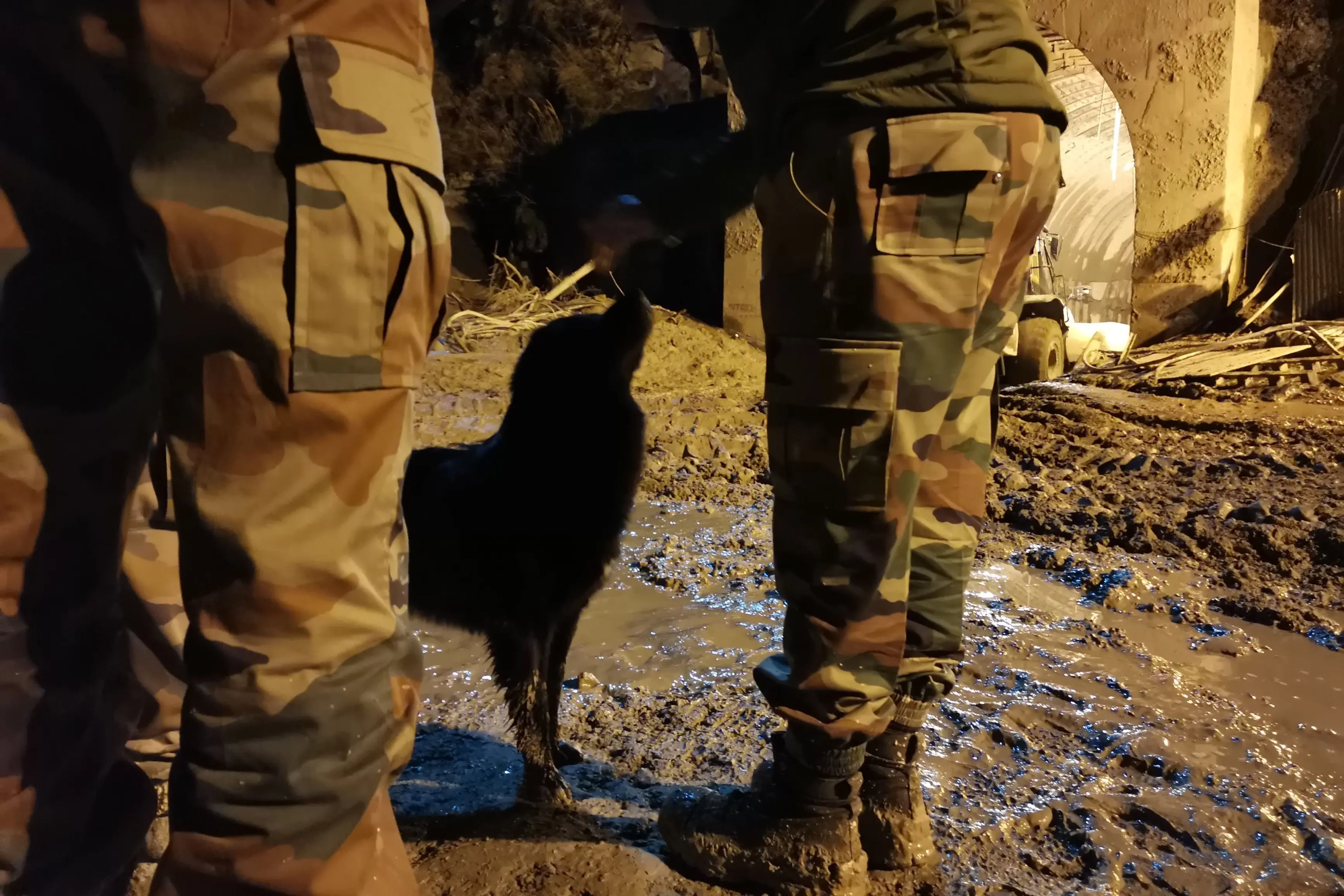 ബ്ലാക്കി| Photo: AFP