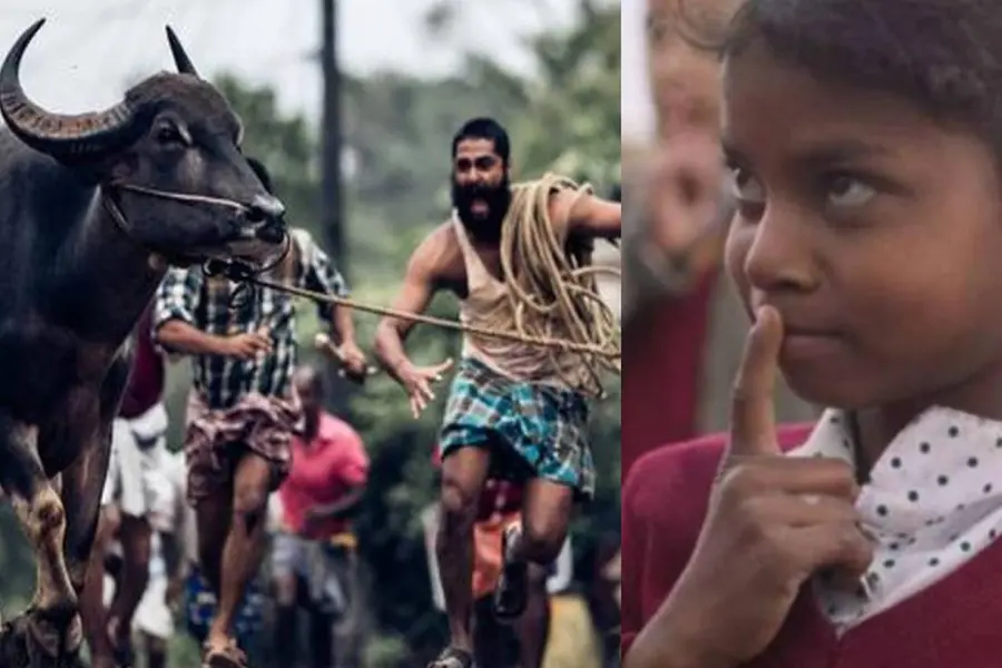 ജല്ലിക്കെട്ട് ഓസ്കറില് നിന്ന് പുറത്ത്; അഭിമാനമായി ബിട്ടു