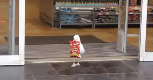 Screengrab: Video Posted On Facebook By Nei Trayner