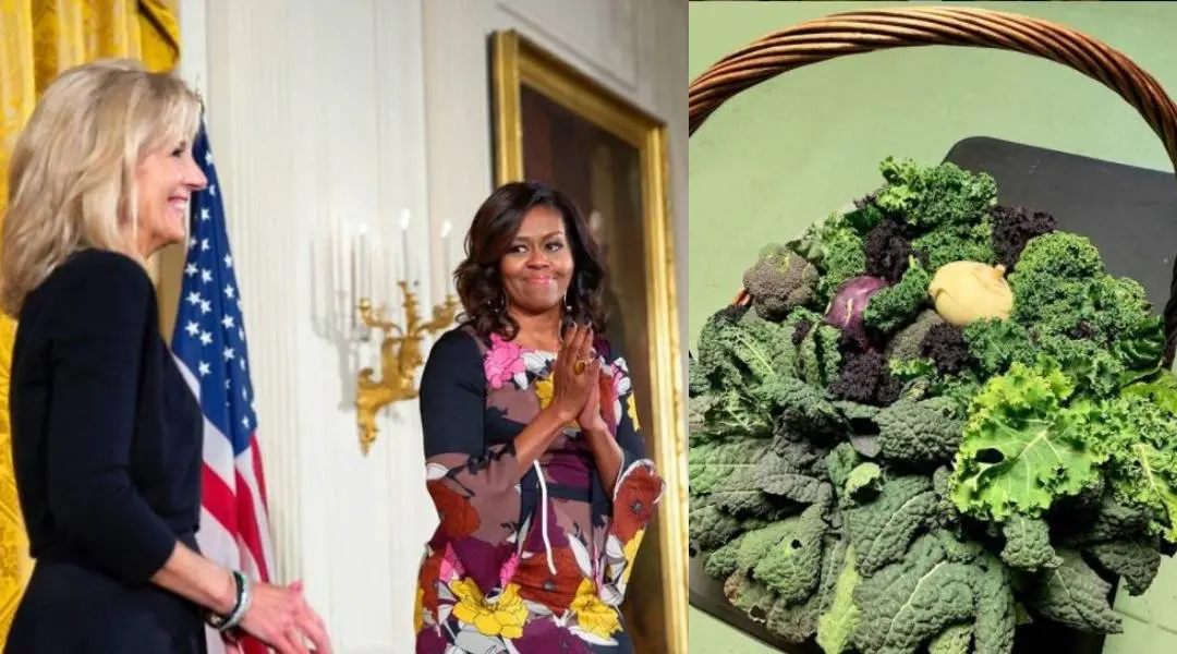 instagram.com|michelleobama
