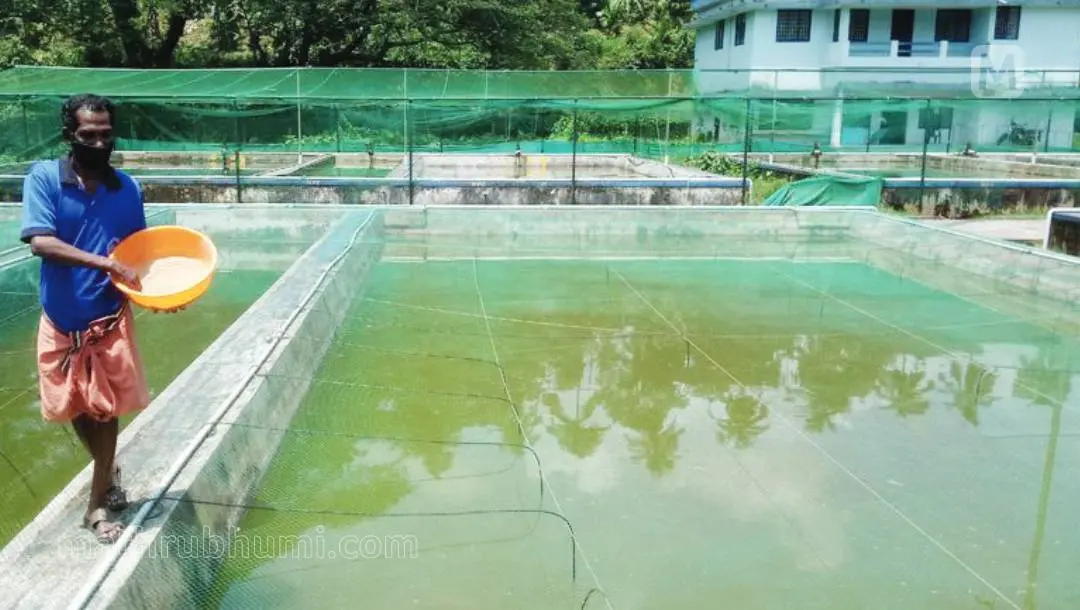 പ്രതീകാത്മക ചിത്രം| ഫോട്ടോ: മാതൃഭൂമി