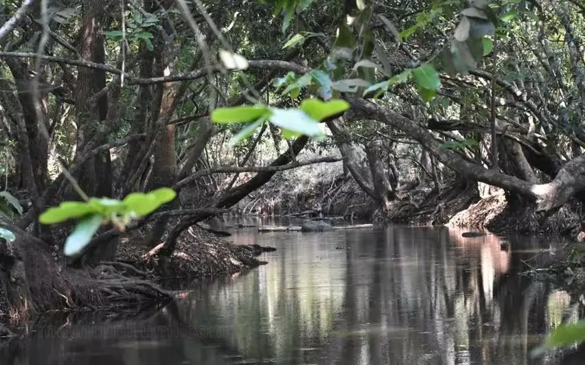 Kuruva Island, a popular tourist destination in Wayanad | Photo: Mathrubhumi/ Rameshkumar Vellamunda
