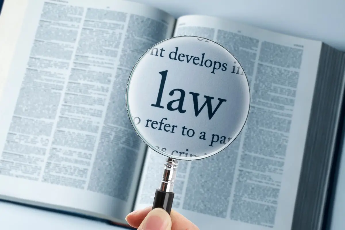 Representative Image | Canva