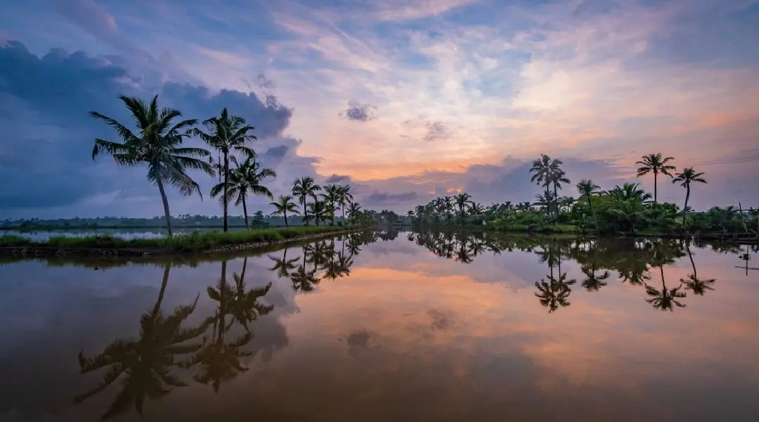 Photo: twitter.com|KeralaTourism