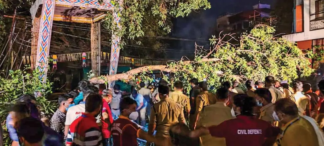 ബ്രഹ്മസ്വം മഠത്തില്നിന്നും നായ്ക്കനാല് പന്തലിലേക്കുള്ള തിരുവമ്പാടി ഭഗവതിയുടെ എഴുന്നള്ളിപ്പ് നടക്കുന്നതിനിടെ ആല്മരത്തിന്റെ കൊമ്പ് പൊട്ടിവീണപ്പോള്
