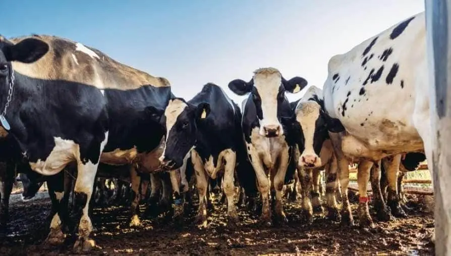 പ്രതീകാത്മക ചിത്രം | ഫോട്ടോ: എ.പി.