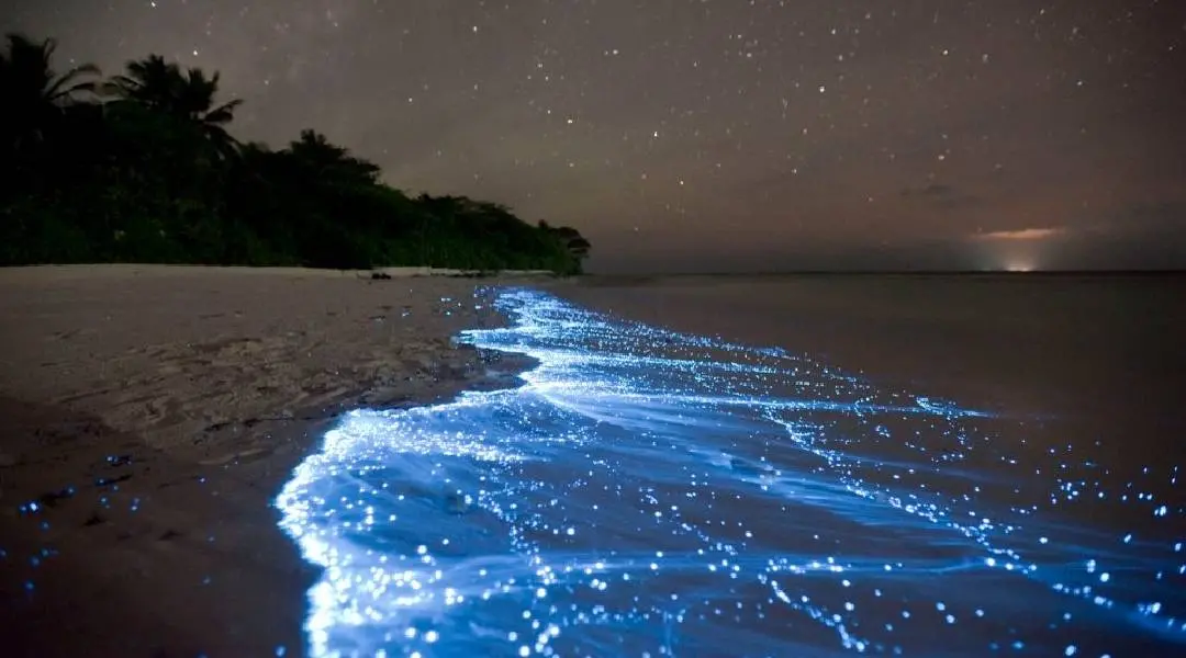 Photo: www.twitter.com