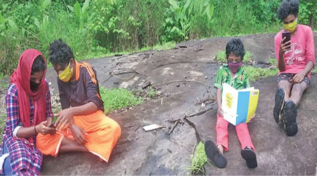 തവളക്കുഴിപ്പാറ ആദിവാസി ഊരില് മൊബൈല് റേഞ്ചുള്ള പാറപ്പുറത്തിരുന്ന് സഹോദരി മിത്തുമോളോടൊപ്പം പ്രവേശനോത്സവം കാണുന്ന ജി. മൃദുല്. കൂട്ടുകാരായ ബി. അരുണ്, അജി ഗോപാലന് എന്നിവരെയും കാണാം