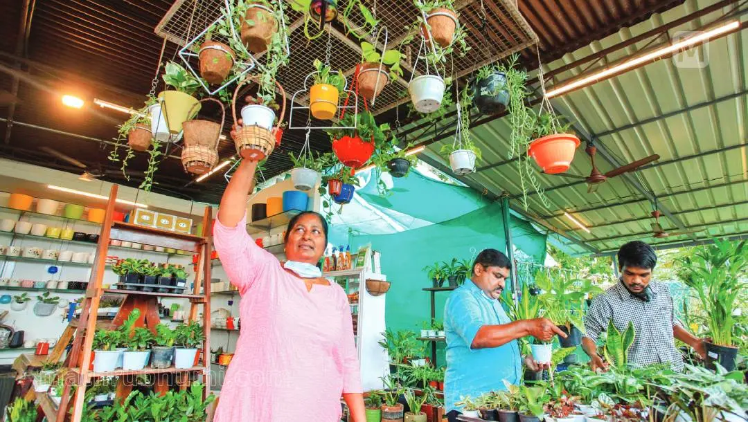 കോട്ടയം നാഗമ്പടത്ത് അന്ന ഹോം ആന്ഡ് ഗാര്ഡനില് ഉടമ തോമസ് ജോസഫും ഭാര്യ സിന്ധുവും അലങ്കാരച്ചെടികള് ഒരുക്കുന്നു | ഫോട്ടോ: മാതൃഭൂമി