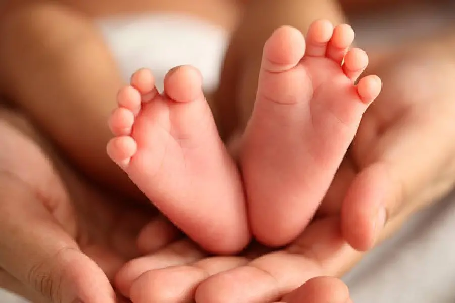 അച്ഛനാവാനുള്ള സ്വവര്‍ഗാനുരാഗിയായ സഹോദരന്റെ ആഗ്രഹം സഫലമാക്കാന്‍ വാടകമാതാവായി സ്വന്തം സഹോദരി