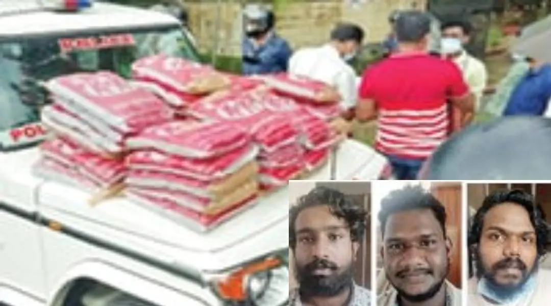 പിടിച്ചെടുത്ത കഞ്ചാവ്. ഇന്സെറ്റില് അറസ്റ്റിലായവര്.