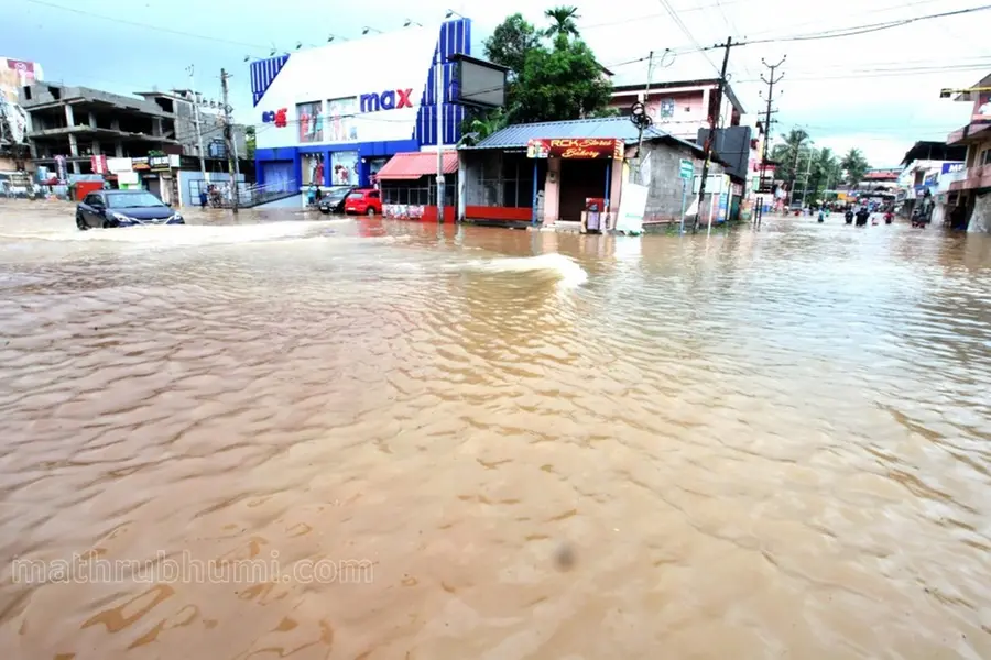 കൊല്ലം, ആലപ്പുഴ, പത്തനംതിട്ട, കാസര്‍കോട്, കോട്ടയം ജില്ലകളിലെ സ്‌കൂളുകള്‍ക്ക് നാളെ അവധി