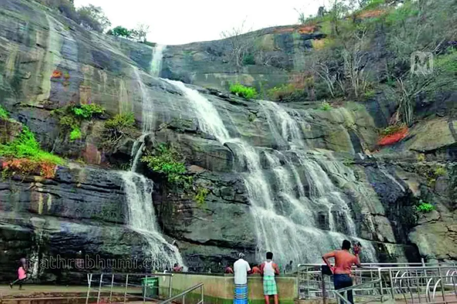 മഴ മാറി, നീരോട്ടം തെളിഞ്ഞു; കുറ്റാലം ഇന്നുതുറക്കും
