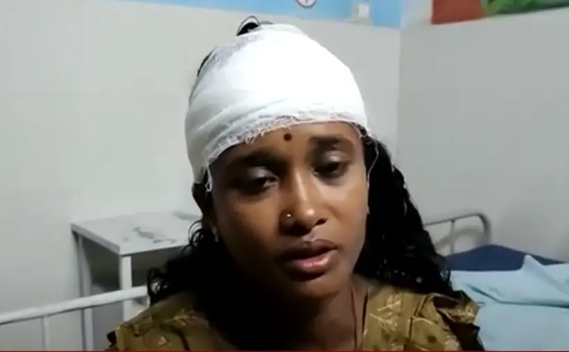 പാപ്പാത്തി| Photo: Mathrubhumi news screengrab